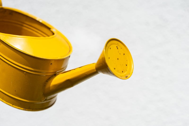 Fairy Watering Cans