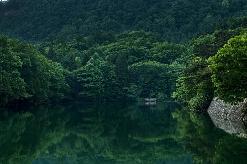 Fantasy landscape with water and forest